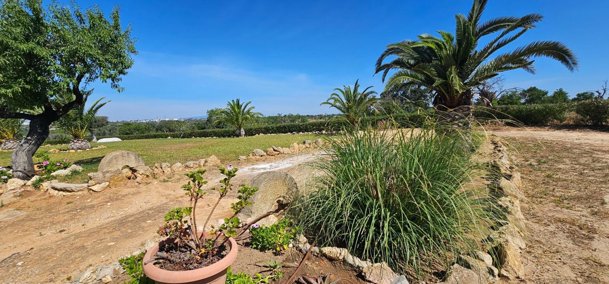 Quinta Do Lagar Villa Albufeira Ngoại thất bức ảnh