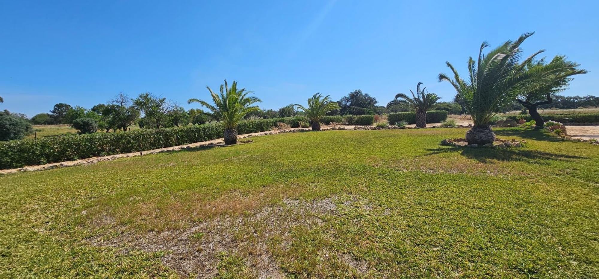 Quinta Do Lagar Villa Albufeira Ngoại thất bức ảnh