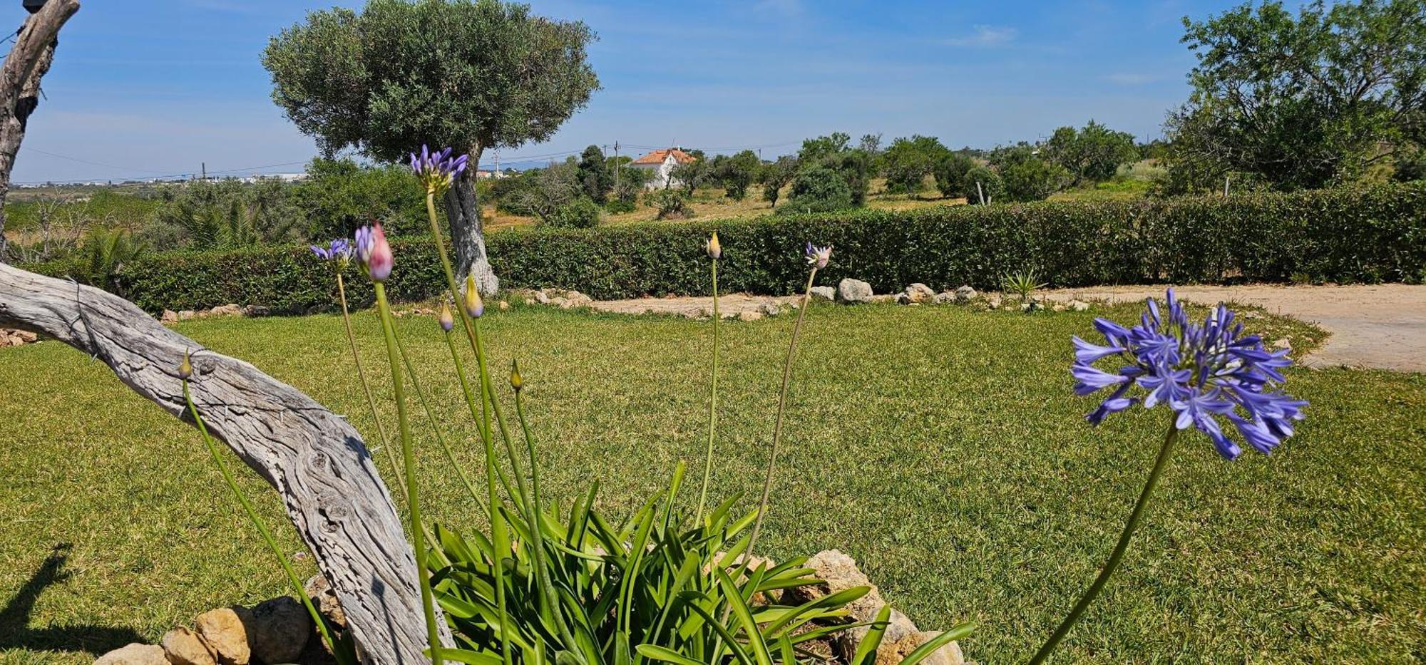 Quinta Do Lagar Villa Albufeira Ngoại thất bức ảnh
